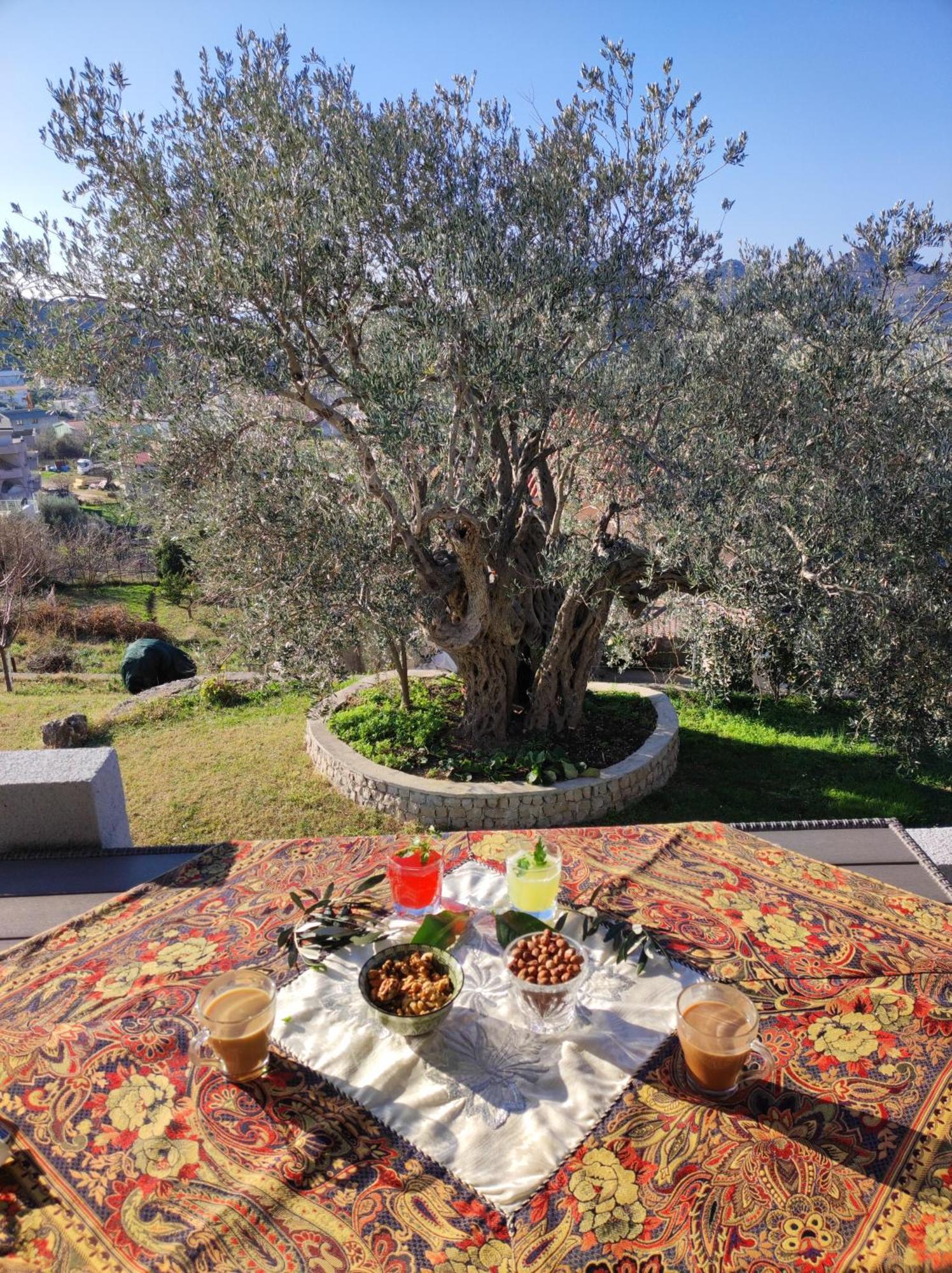 Zelena Maslina Villa Bar Kültér fotó